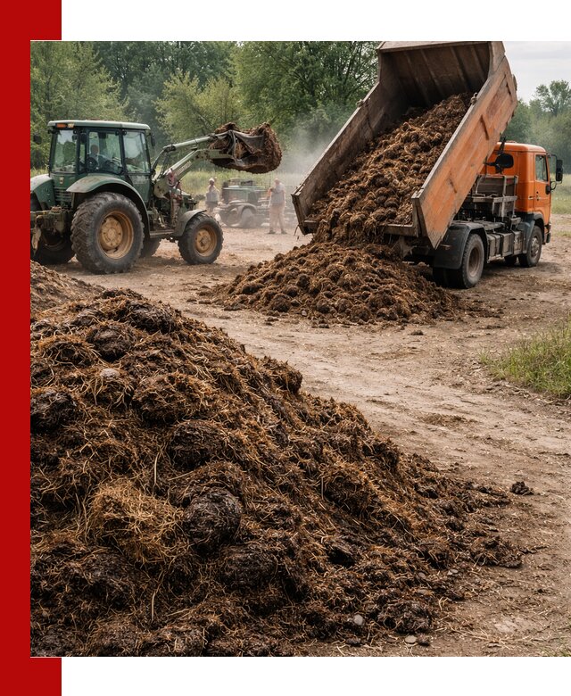 Доставка навоза самосвалами в Новочеркасске для сельхозпотребностей